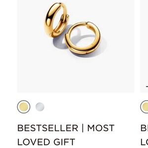 14k Gold Plated Small Hoop Pandora Earrings